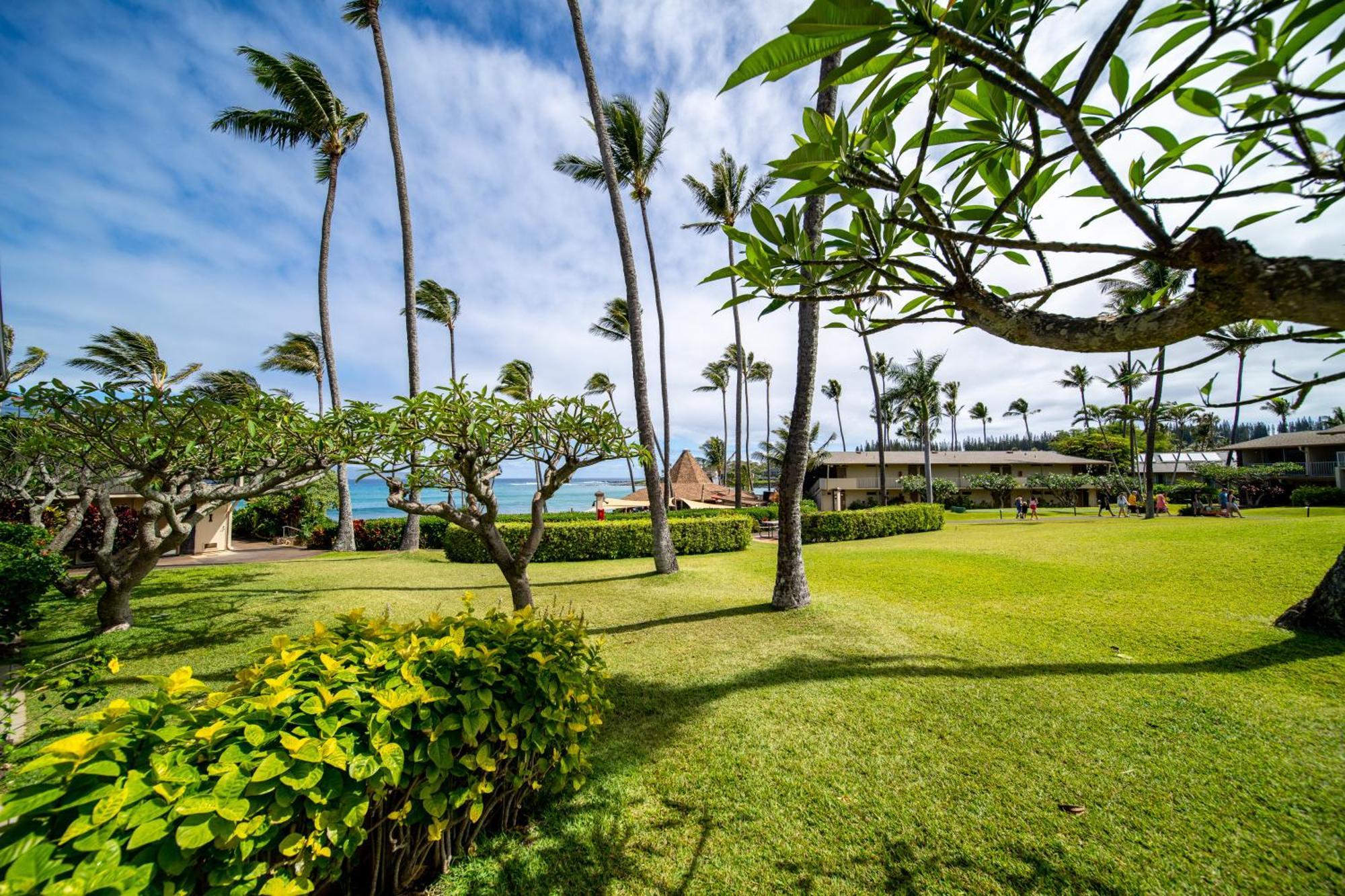 Napili Shores Maui By Outrigger - No Resort & Housekeeping Fees Лахайна Стая снимка